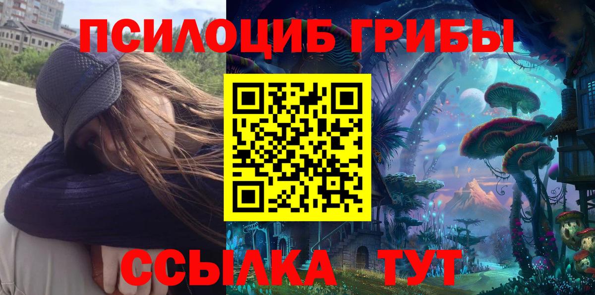 купить закладку  Вход с VPN  Коряжма  Псилоцибиновые грибы прущие грибы 